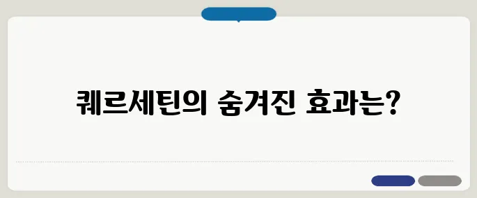 퀘르세틴 효능 어떤가요? 알레르기와 염증에 도움