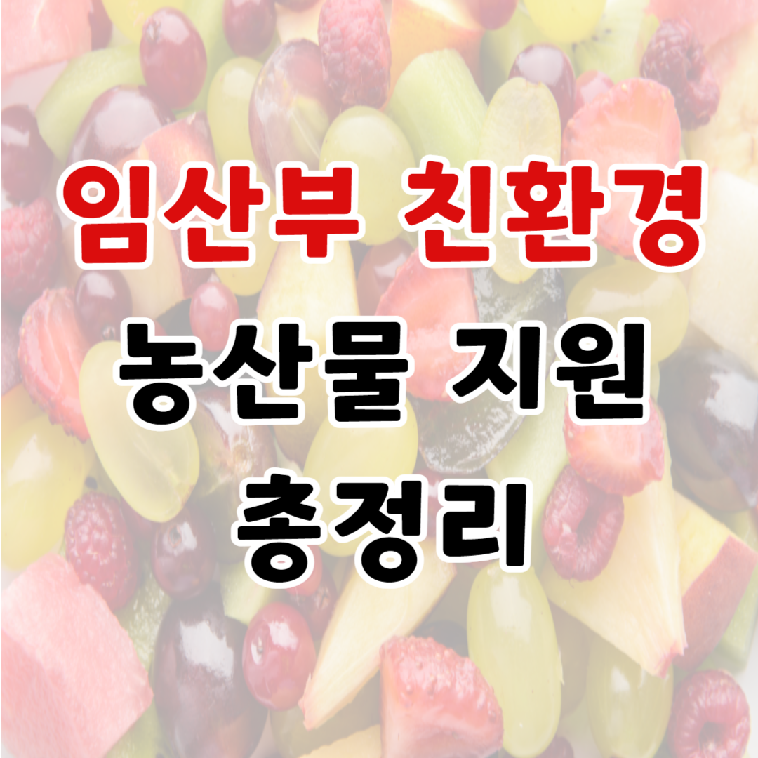 2024 임산부 친환경 농산물 꾸러미