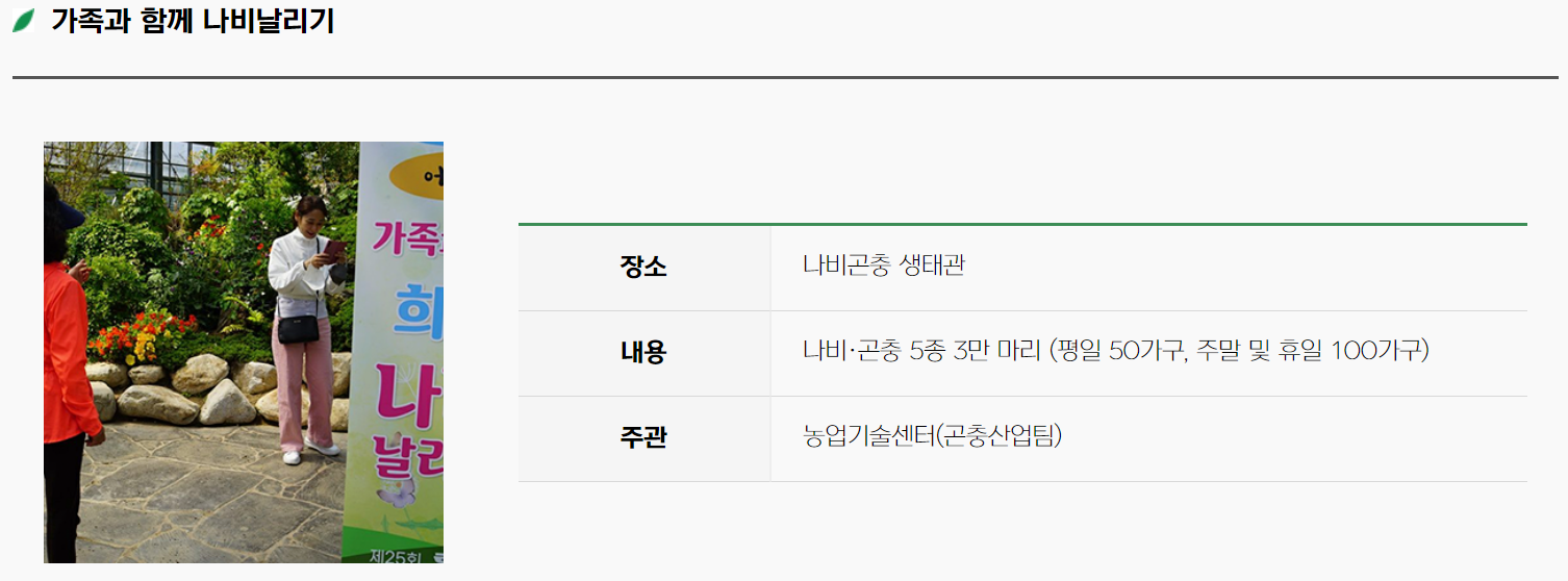 가족과 함께 나비날리기