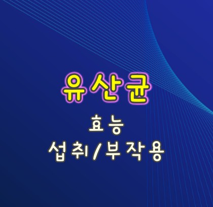 유산균-효능