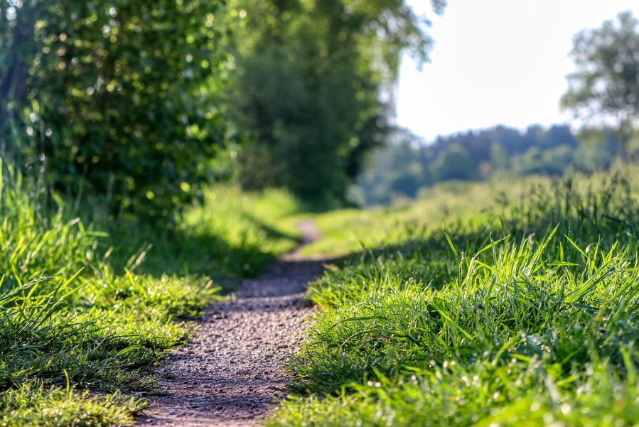 사계절이 빚어내는 동네 길의 변주곡