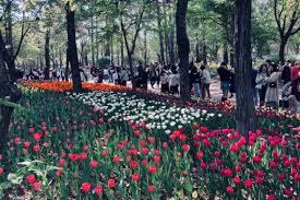 2024 별 헤는 서울숲 프로그램