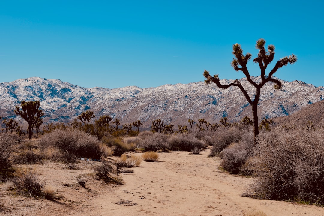 National Park