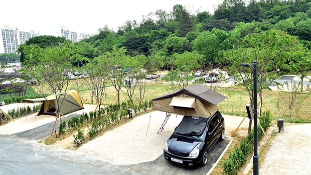 서울 노원구 초안산캠핑장 소개