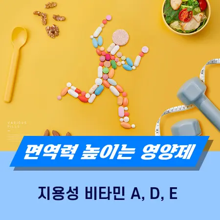 면역력 높이는 영양제
