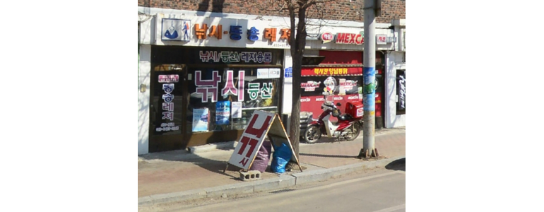 철원군 낚시용품