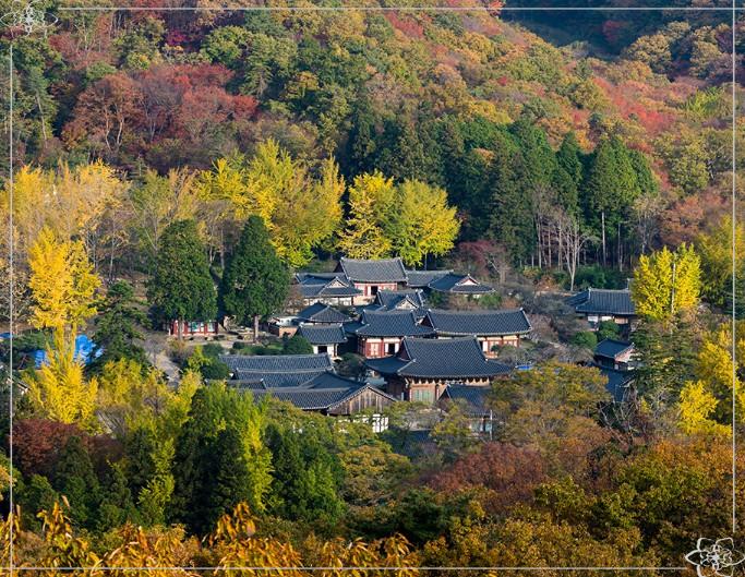 부처님 오신 날 가볼만한 곳&amp;#44; 마음이 편안해지는 전국 사찰 여행 추천 TOP 3