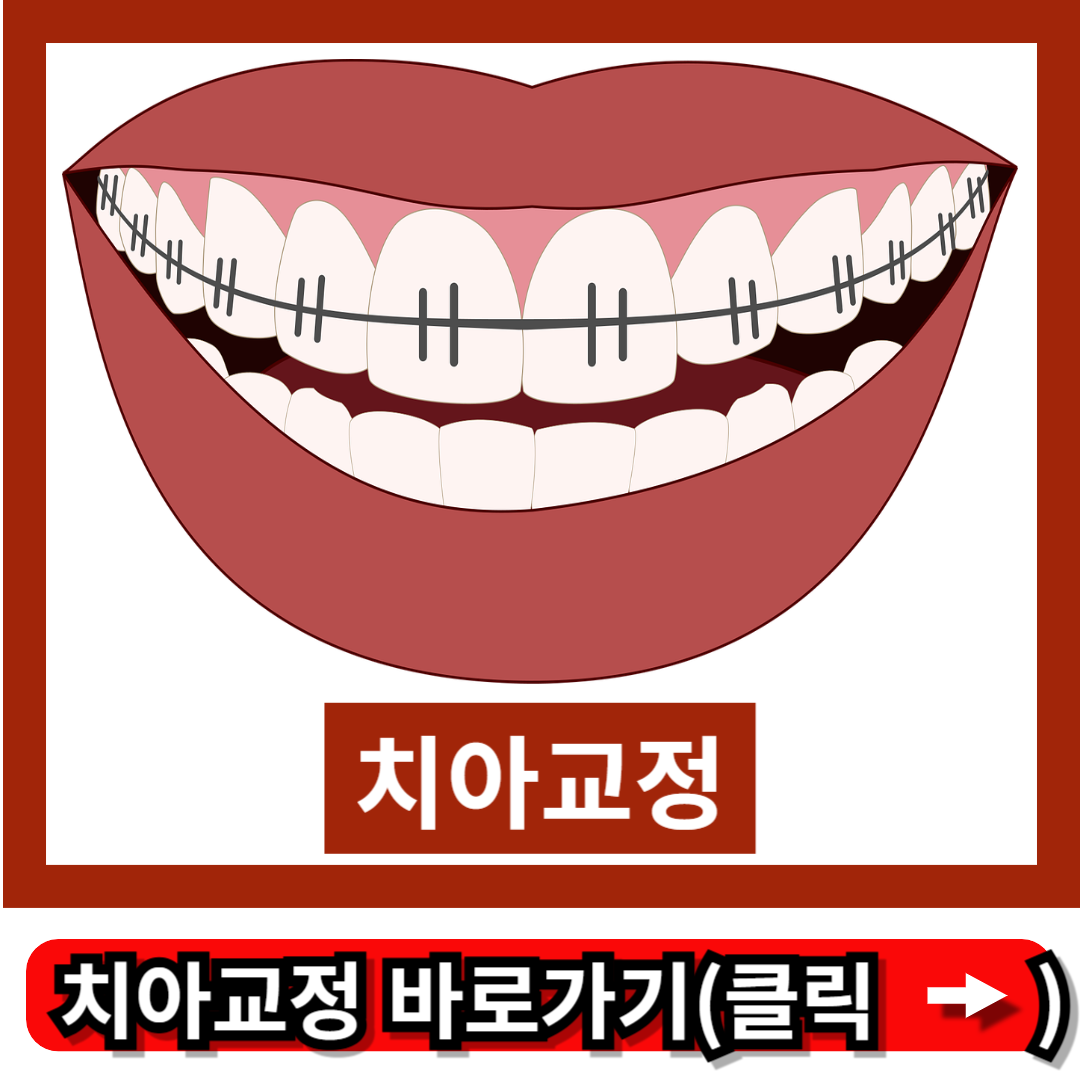 치아교정