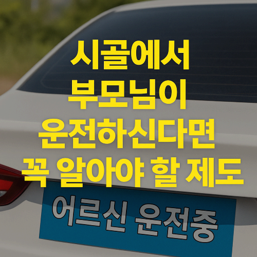 시골에서 부모님이 운전하신다면 꼭 알아야 할 제도 [어르신 운전 중 스티커]