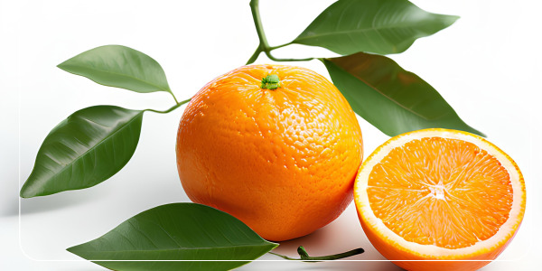 비타민D 결핍과 해결책8