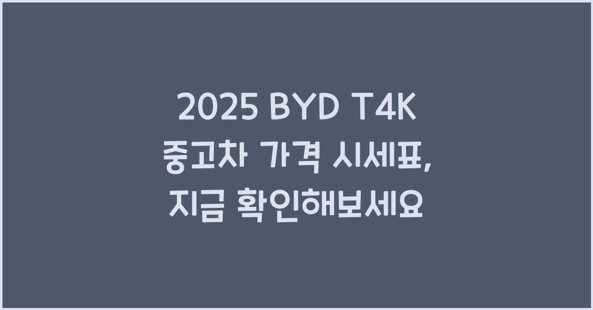 2025 BYD T4K 중고차 가격 시세표