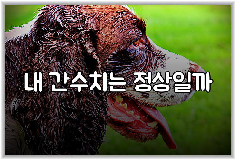 내 간수치는 정상일까