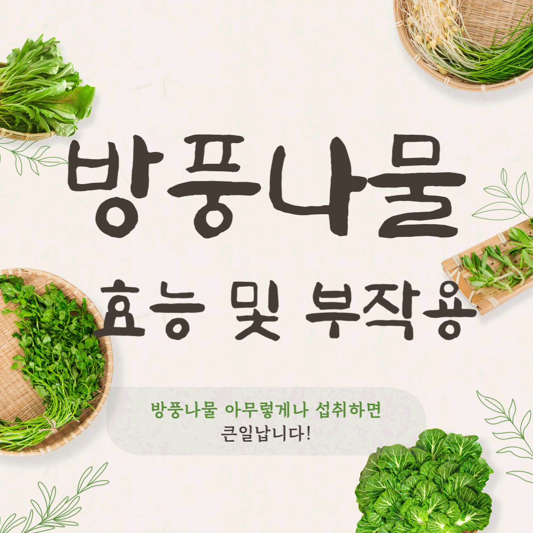 방풍나물 이렇게 드세요 효능과 부작용 완벽 가이드