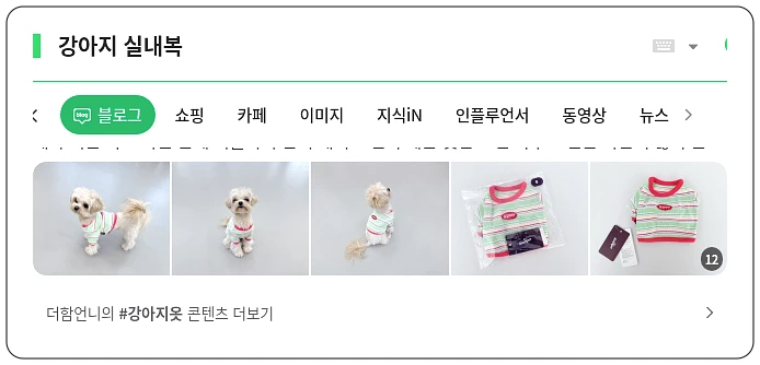 강아지 실내복_1_subsection