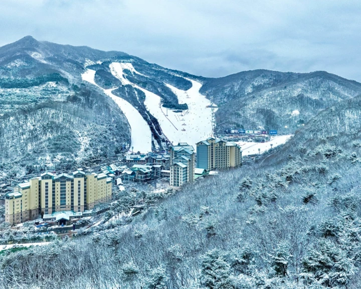 곤지암리조트