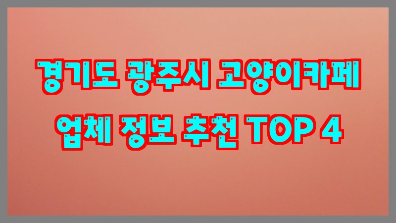 경기도 광주시 고양이카페