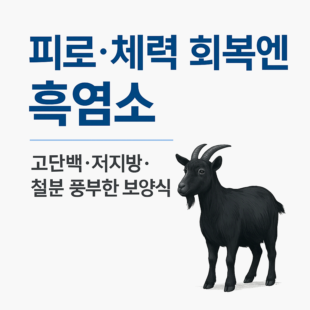 흑염소 효능