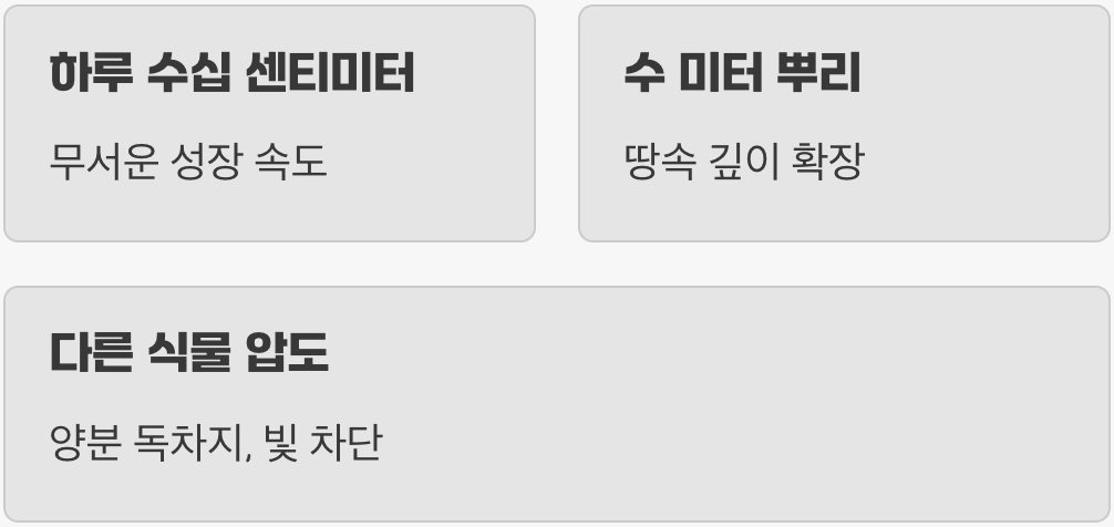 괴물 같은 생명력, 먼저 이해하기