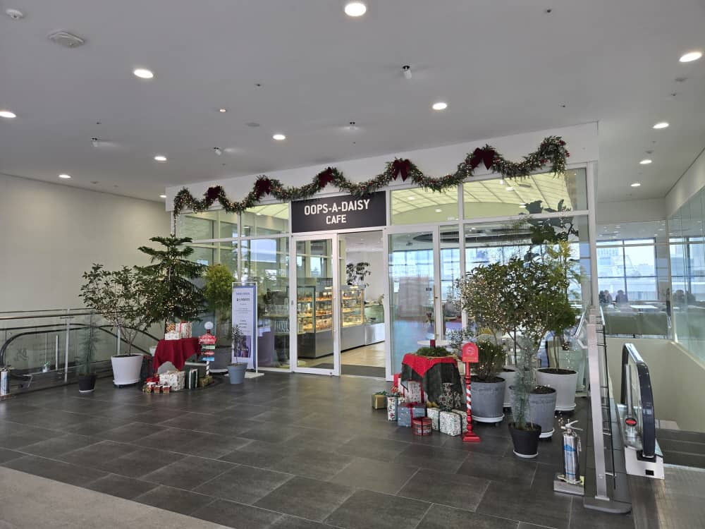 송도 웁스어데이지