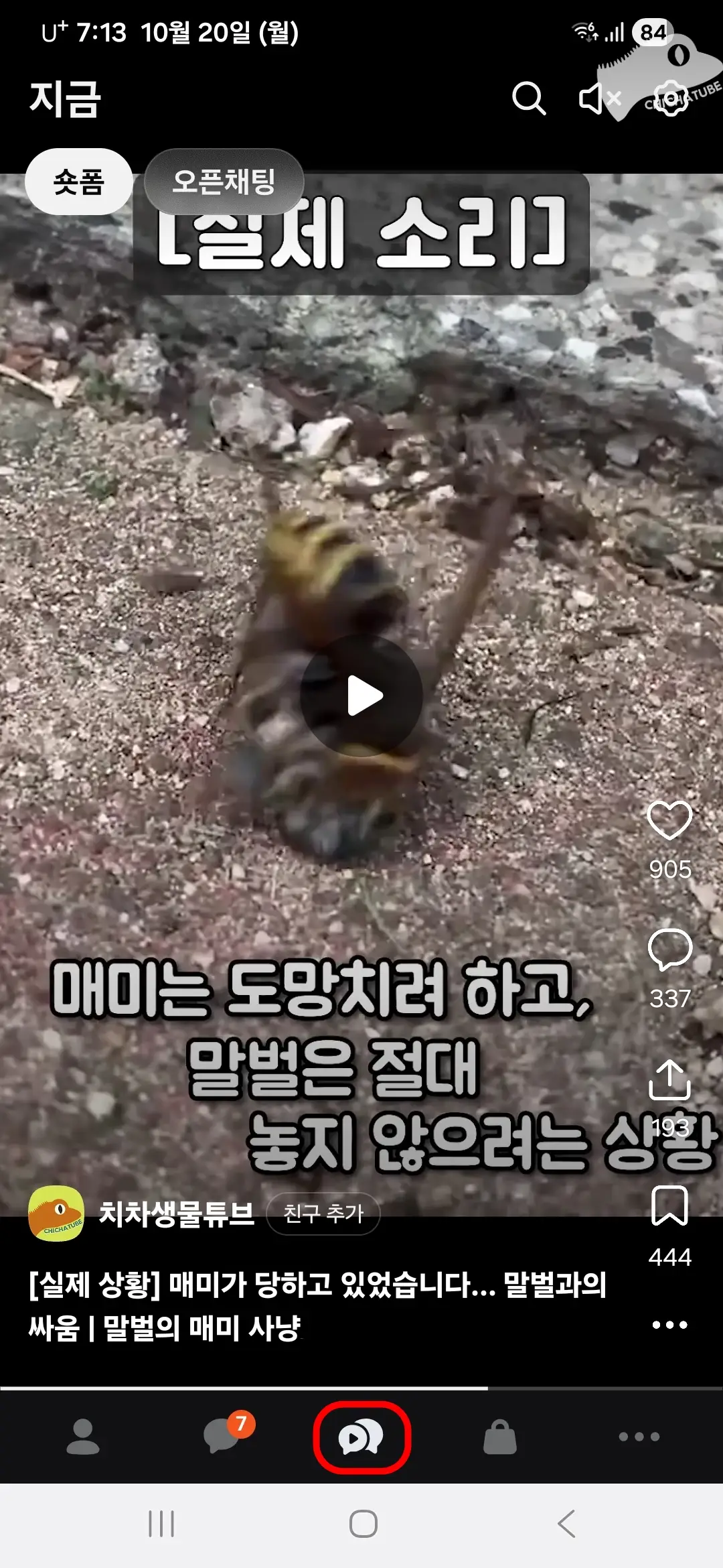 숏폼-오픈채팅-탭