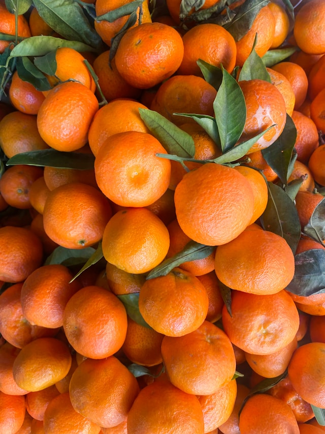 제주 농협 하나로마트 레드향 택배 주문 꿀팁