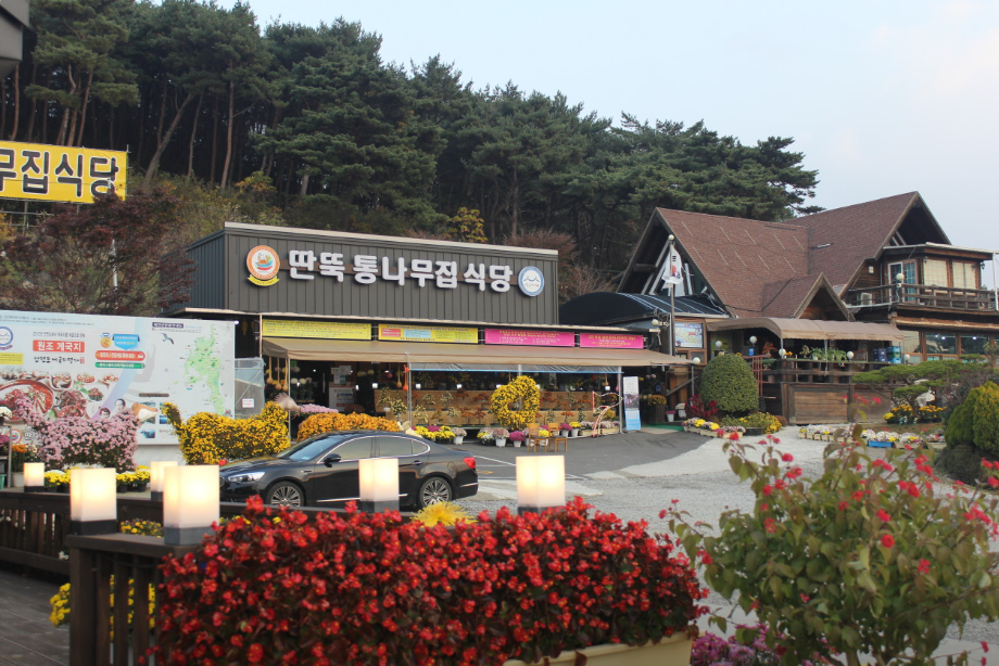 생생정보통 오늘 방송 맛집 타츠진 우동 딴뚝 통나무집 식당 예약 메뉴 가격 특별혜택