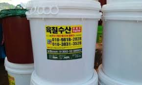 🔥 6시내고향 4월 15일 부산·울진·강릉 최신 정보 총정리 (멸치젓갈·대게·해양박물관) 관련사진