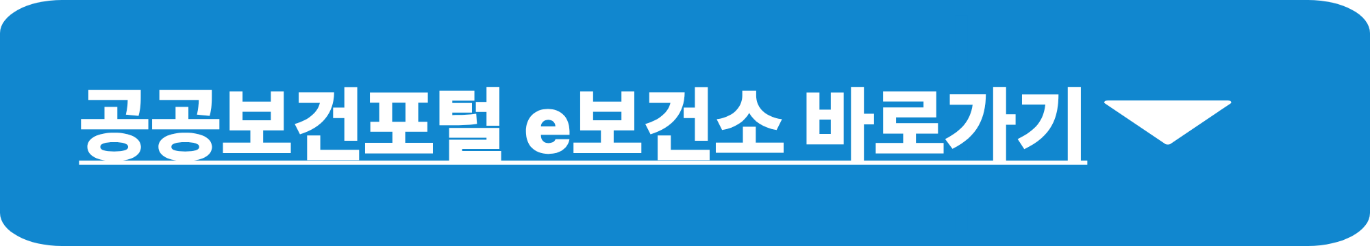 보건증 발급