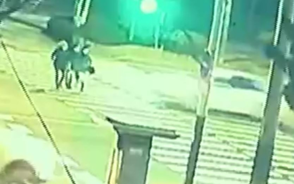 검찰이 보행자 신호에 과속을 해 3명을 치어 숨지게 한 80대 노인에게 금고 5년형을 구형했다. 사진은 사건 당시 도로 상황. [사진=연합뉴스TV 보도화면 캡처]