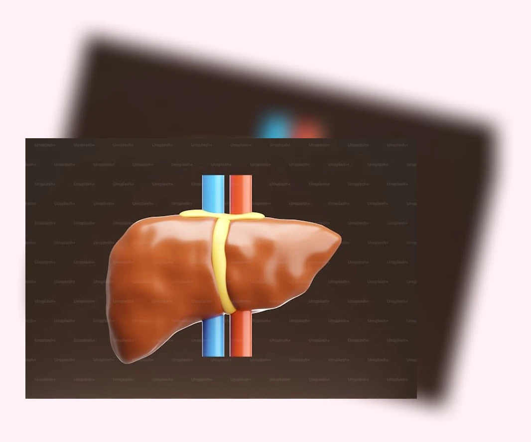 콜레스테롤 관리_2_subsection