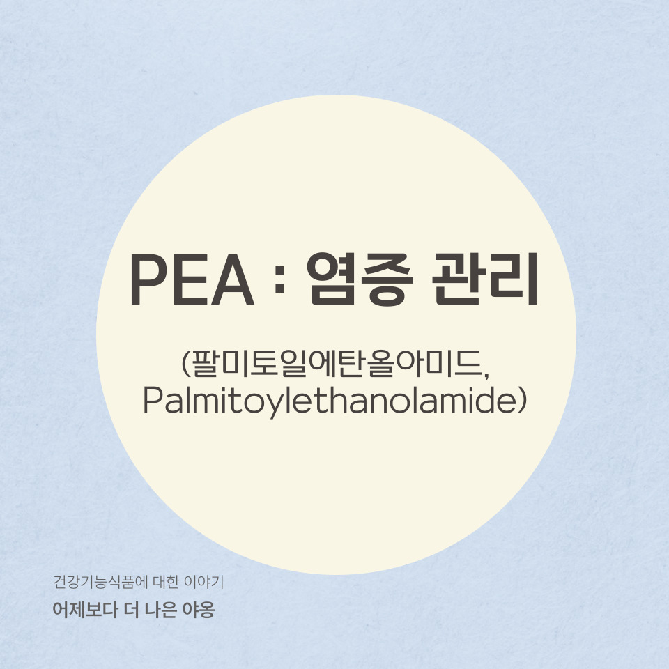 염증 관리에 도움을 줄 수 있는 팔미토일에탄올아미드(PEA)