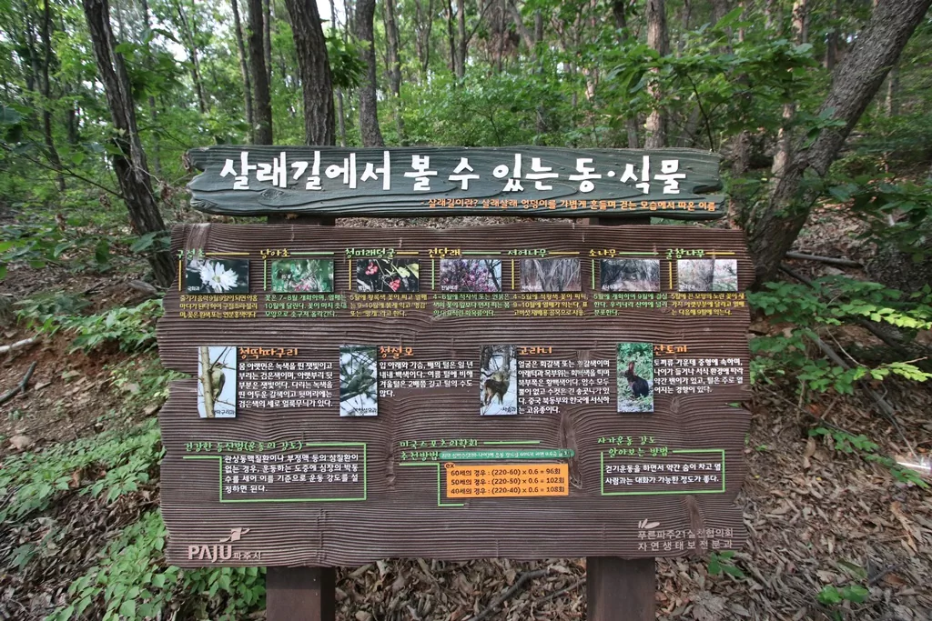 평화누리길 6코스 검단산 살래길 입구 사진.