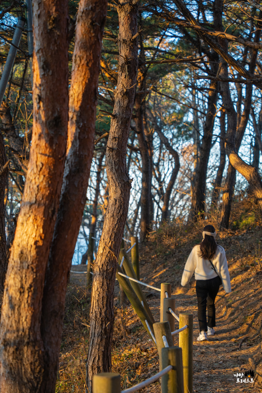 안산 구봉도 대부해솔길