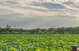 추석 연휴 숙박 할인 쿠폰