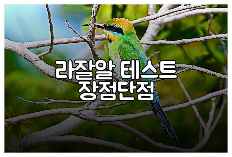 라잘알 테스트 장점단점