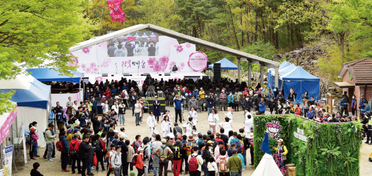 비슬산 참꽃축제