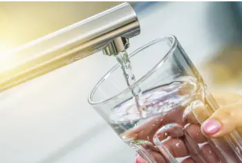 신장에 좋은 음식&amp;#44; 나쁜 음식