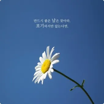 좋은 글귀 감성 글귀 이미지 일러스트 100선_2