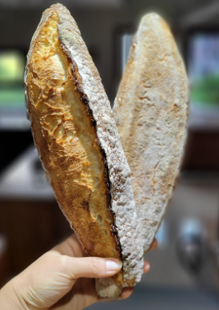 파파드림브레드 광주신용점