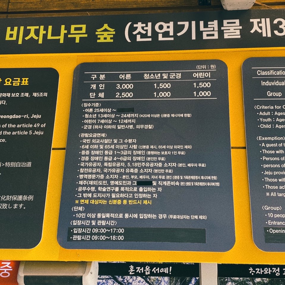 비자림 사진