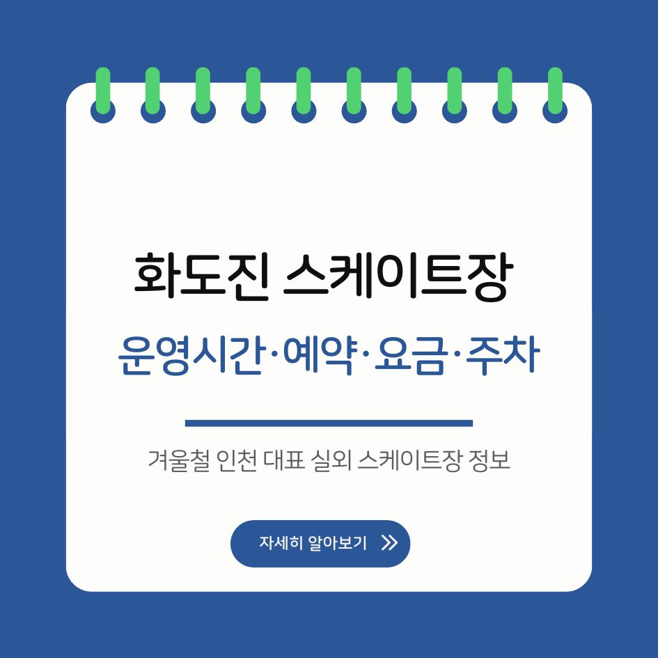 인천 화도진 스케이트장 야경 및 스케이팅 전경