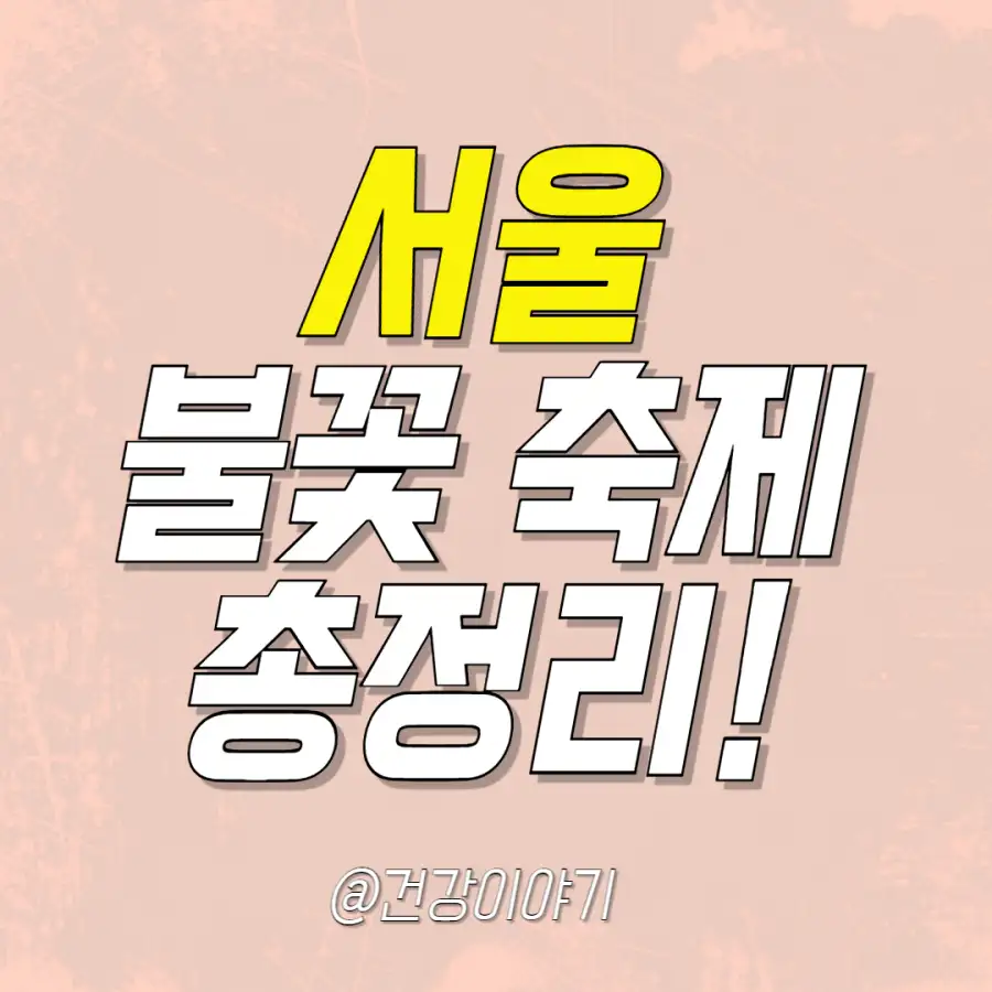 2024-한강-불꽃축제