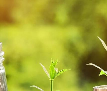 2025 청년 월세 지원 신청 조건 알아보기