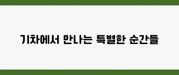 느린 기차 타고 떠나는 감성 여행