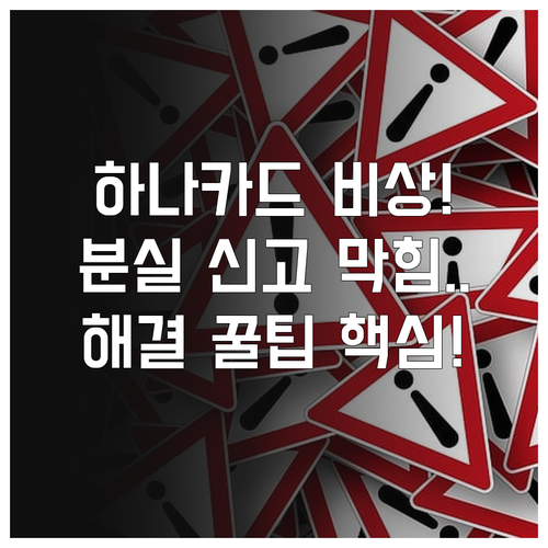 하나카드 접속 오류 및 분실 신고 이..