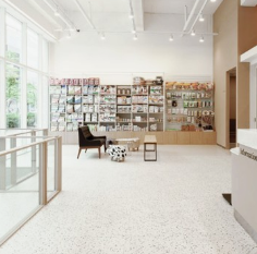 강아지 췌장염 증상