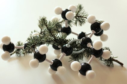 탄소중립 실천포인트