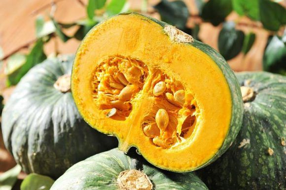 설사에 좋은 음식