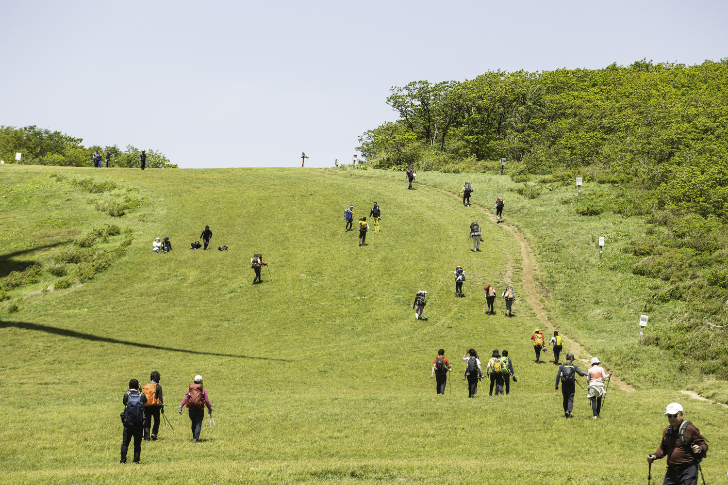 tnf100korea
tnf100gangwon
노스페이스 트레일러닝대회
선자령 트레일러닝