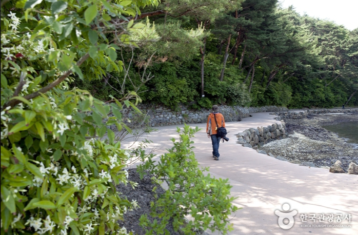 경남-통영시-한산도